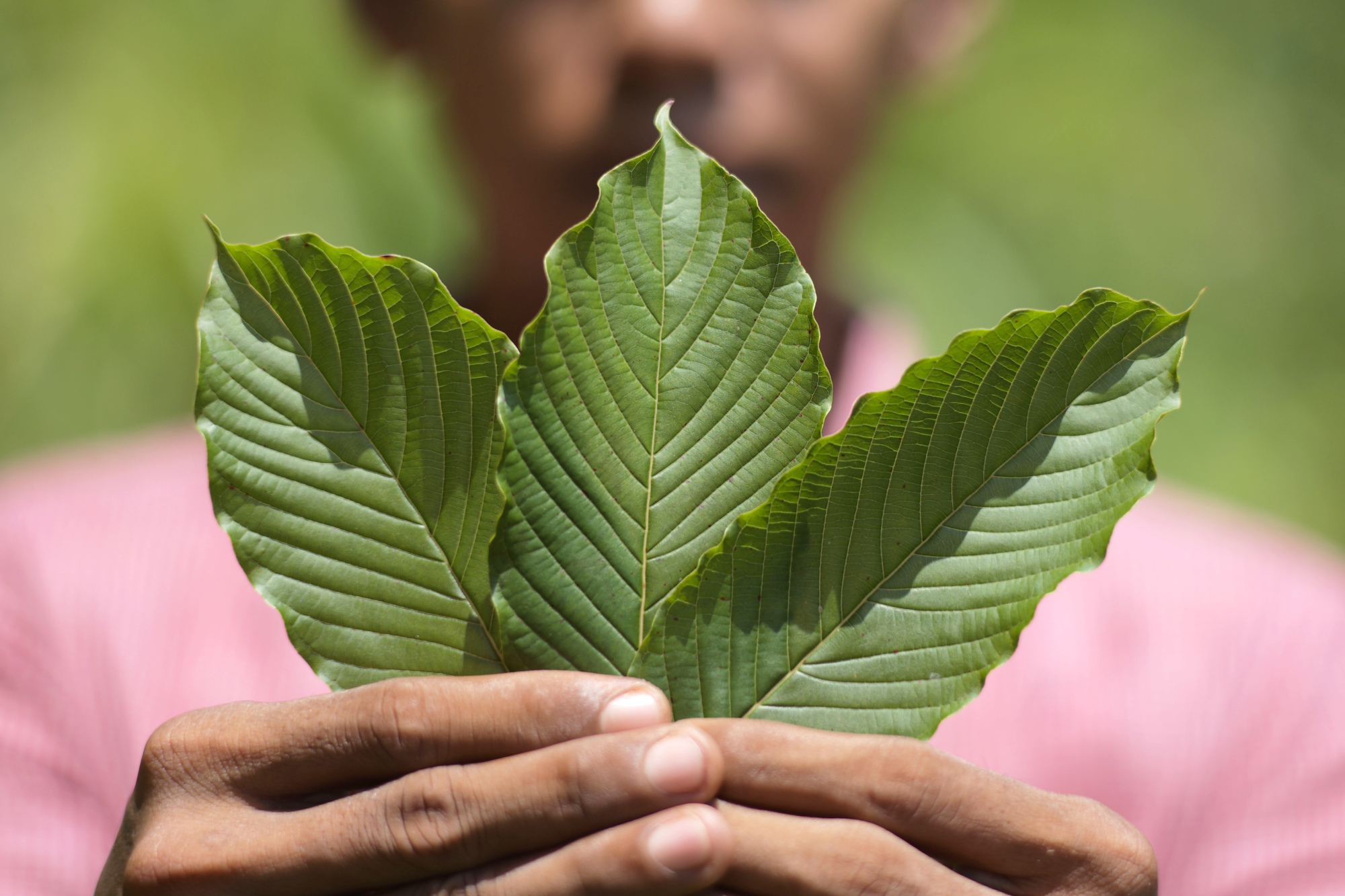 happy goleafy kratom