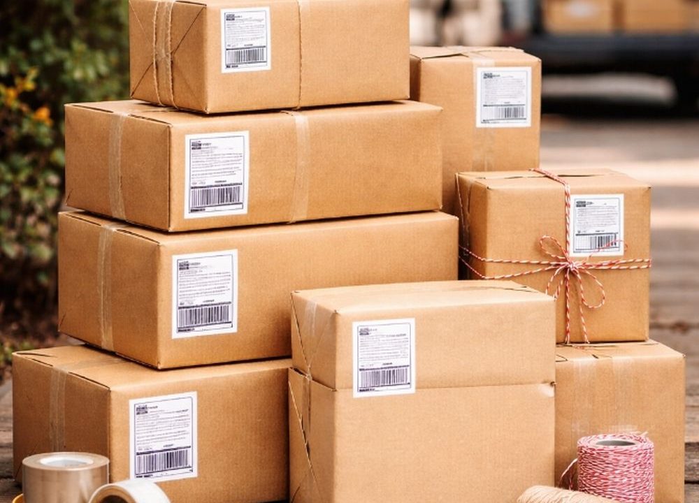 Specialized Cargo Transport Strengthening International Shipping For Sensitive Goods